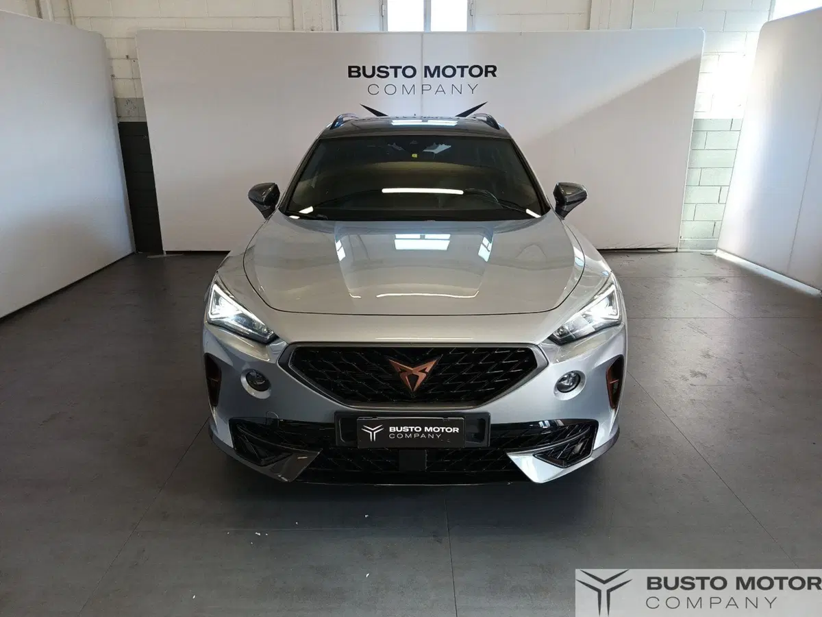 Cupra Formentor usata a Varese (2)