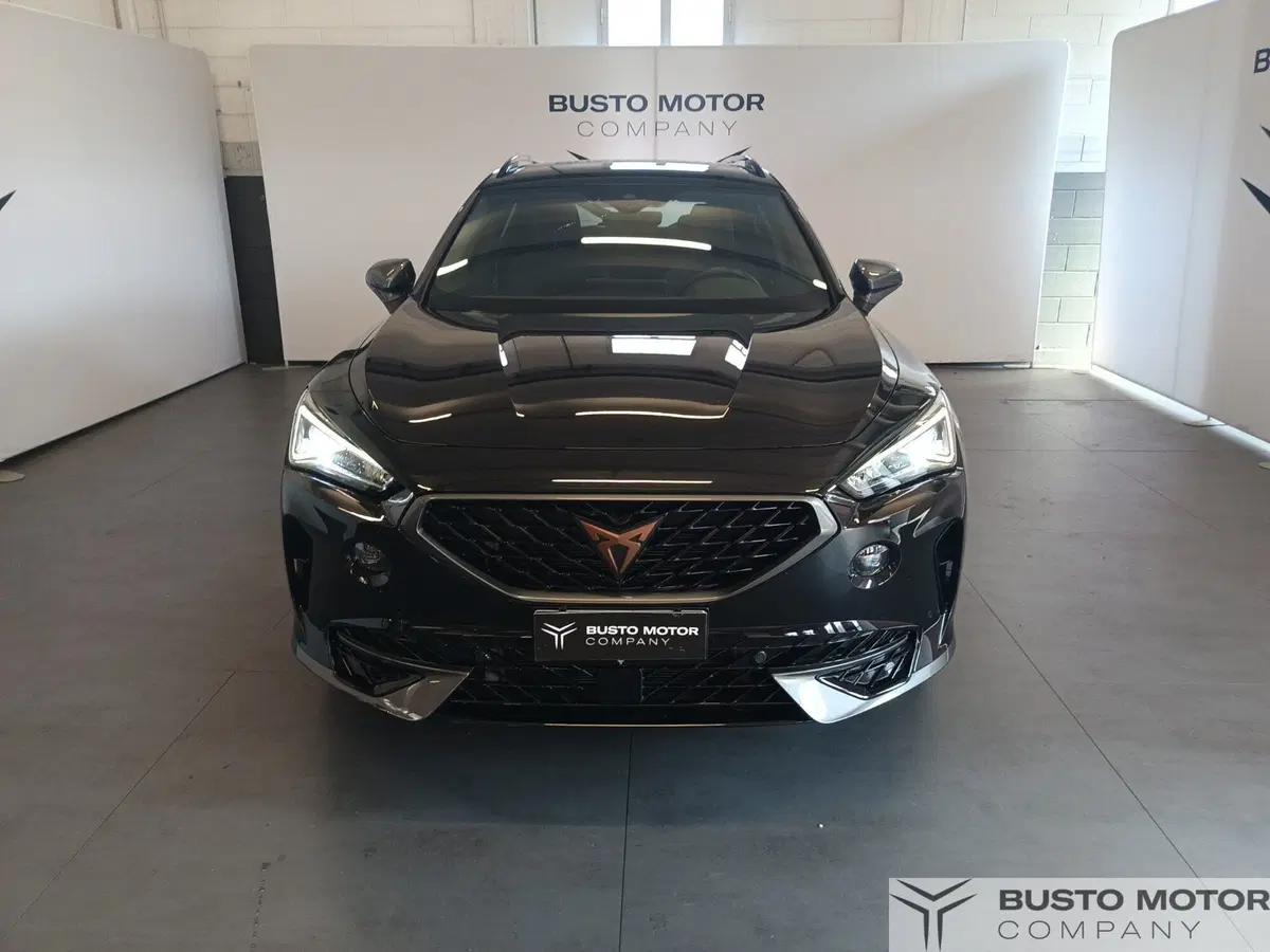 Cupra Formentor usata a Varese (2)