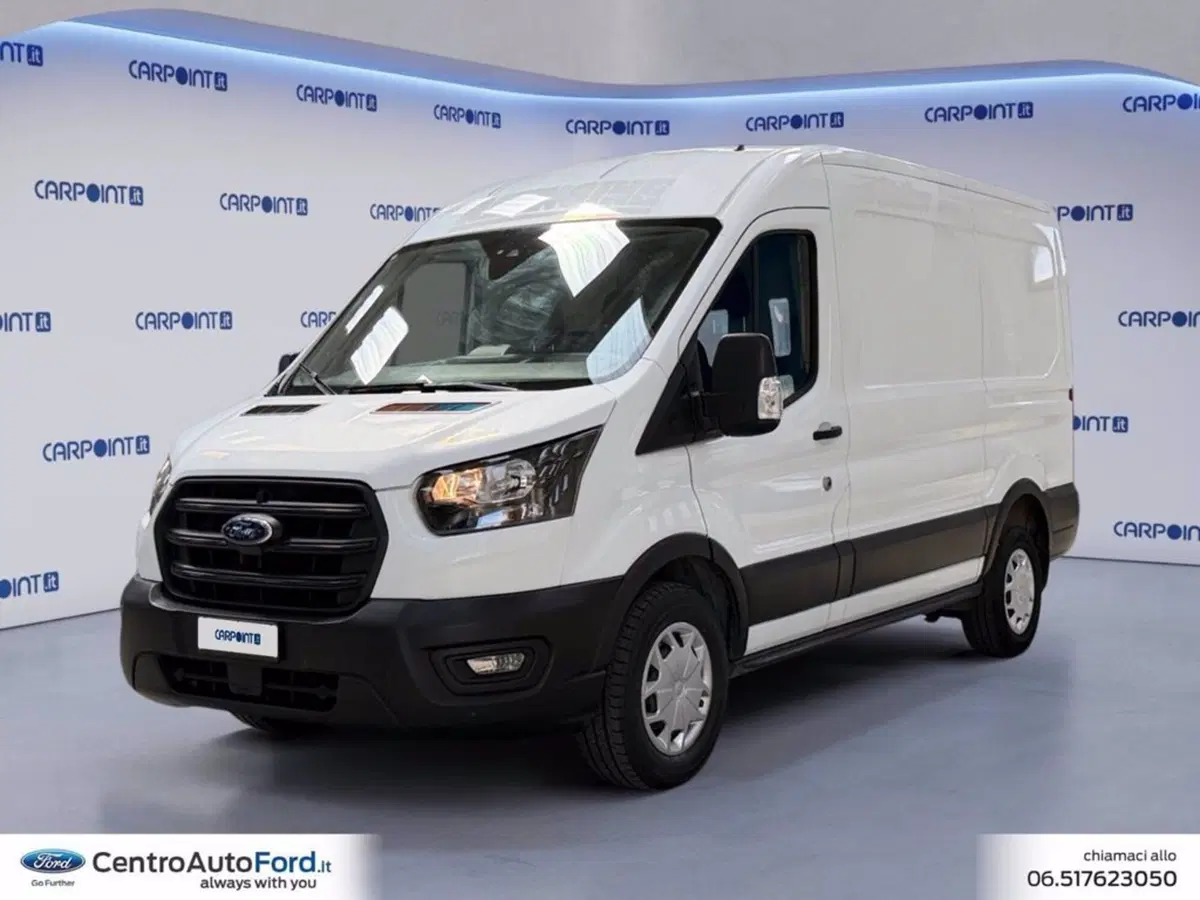 Ford Transit Furgone usata a Roma