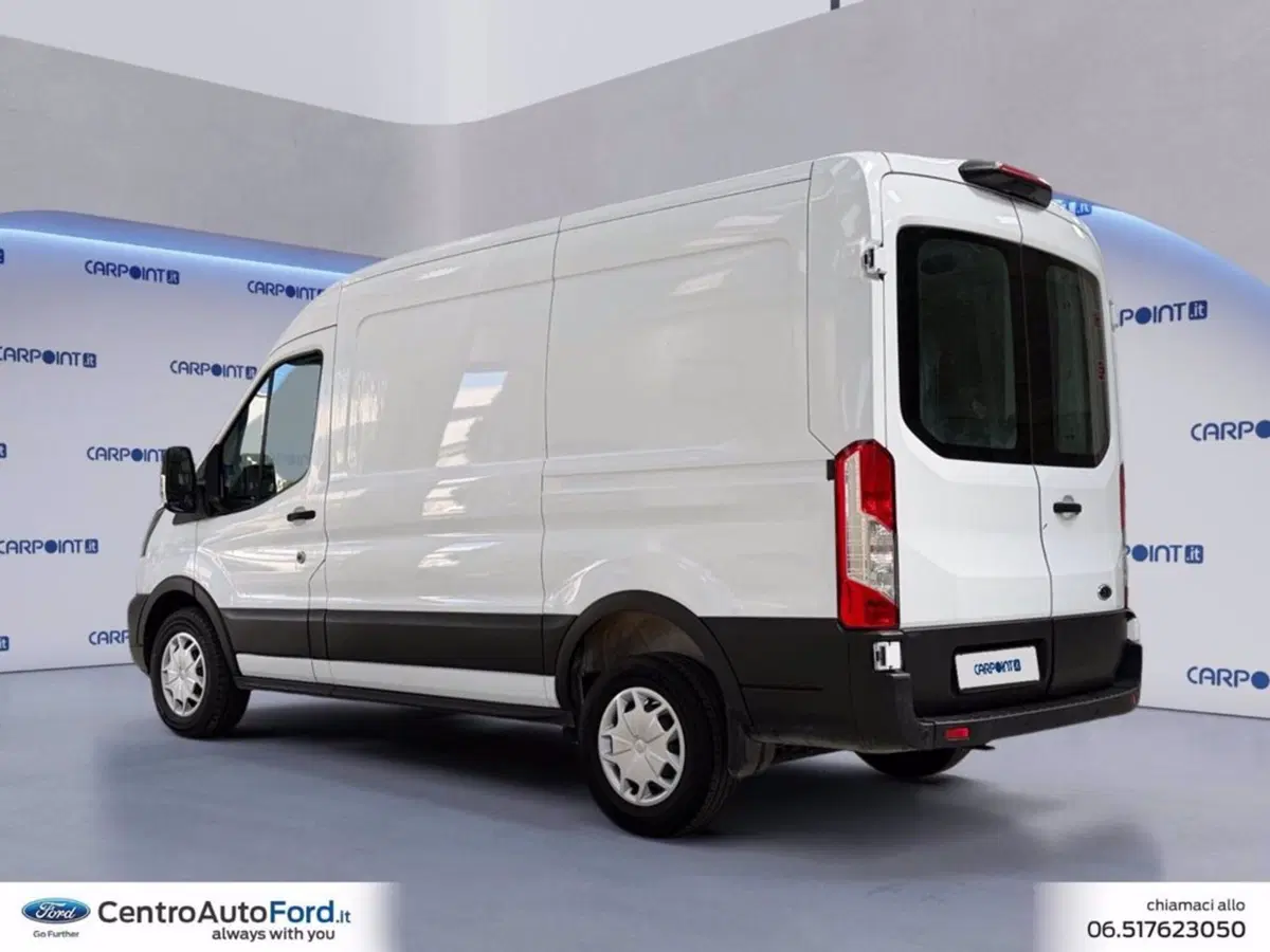Ford Transit Furgone usata a Roma (3)
