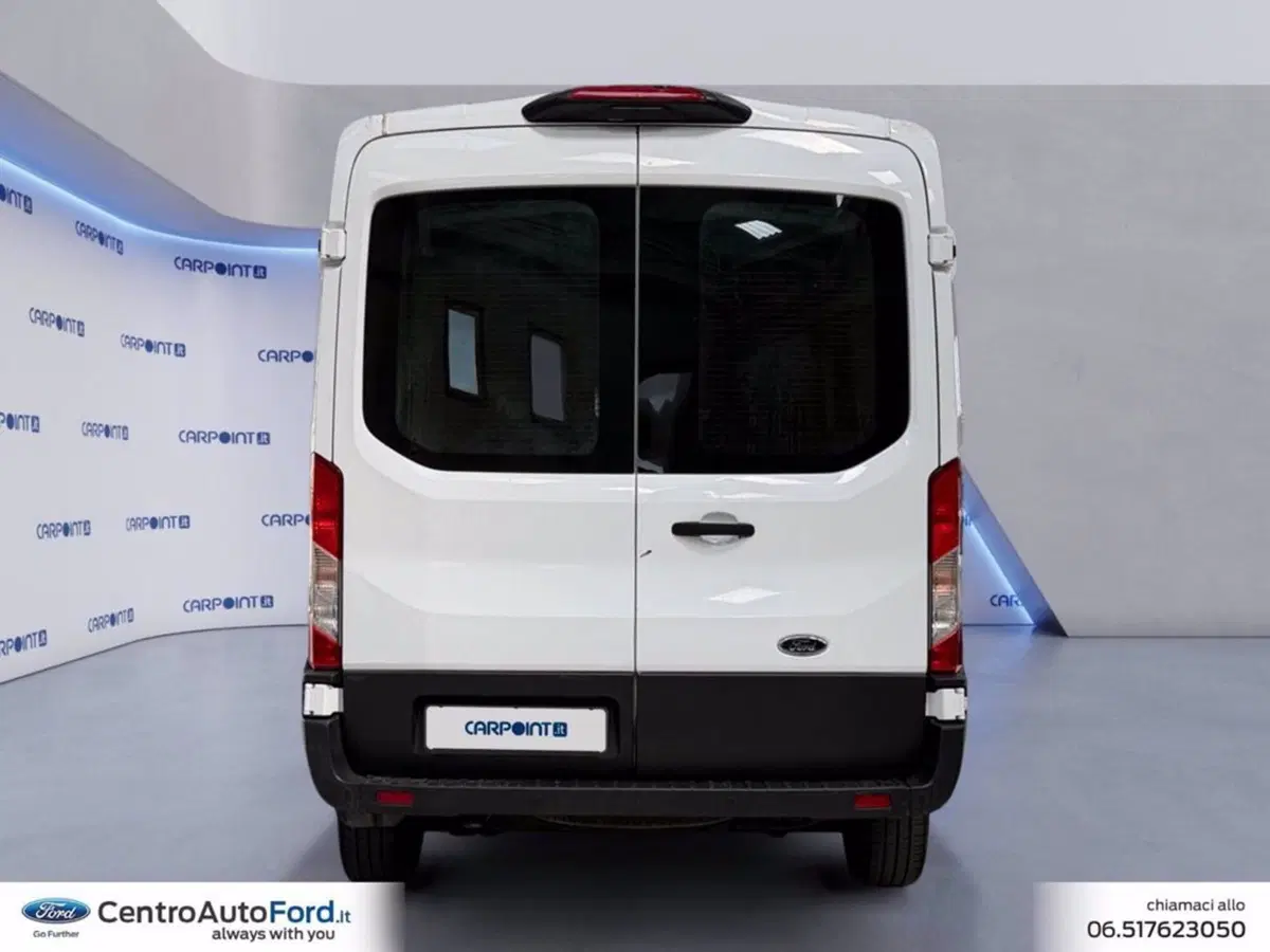 Ford Transit Furgone usata a Roma (4)