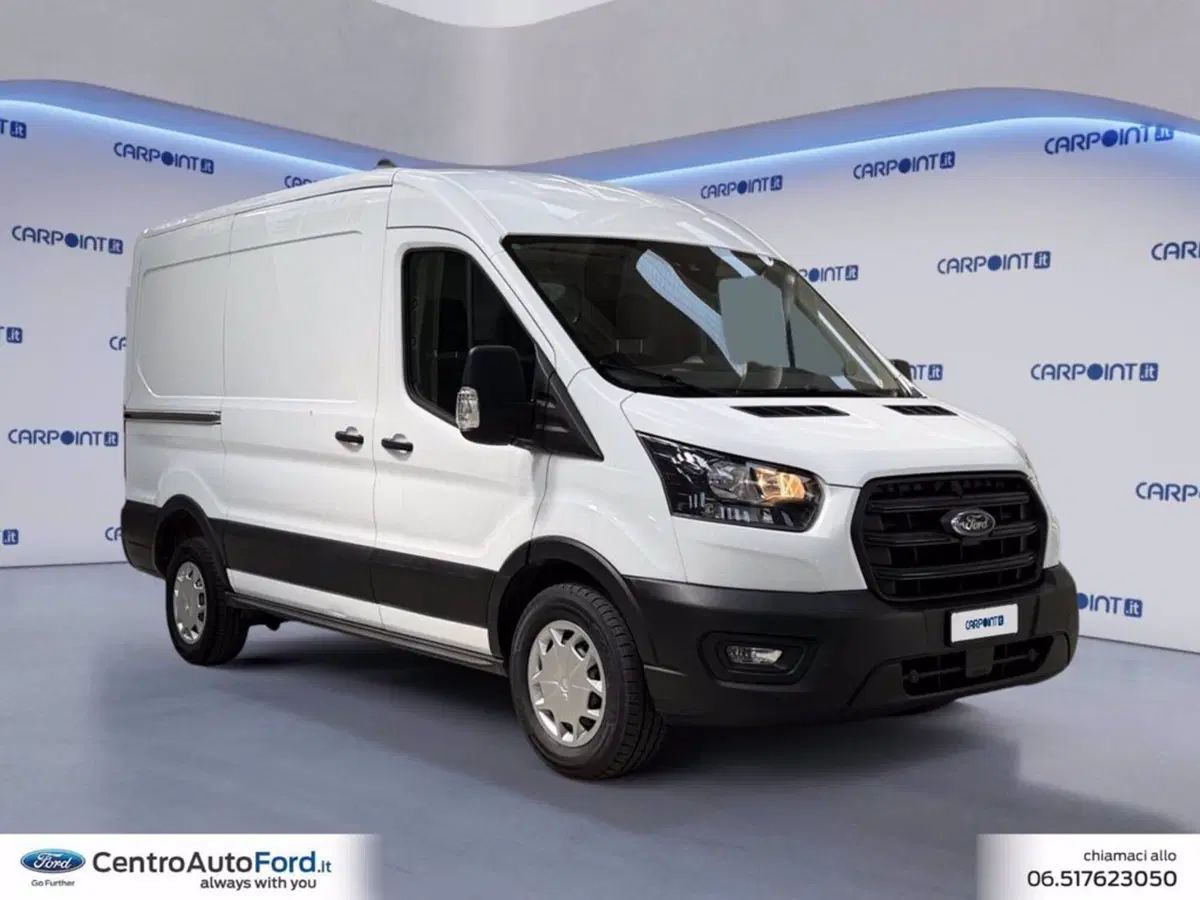 Ford Transit Furgone usata a Roma (7)