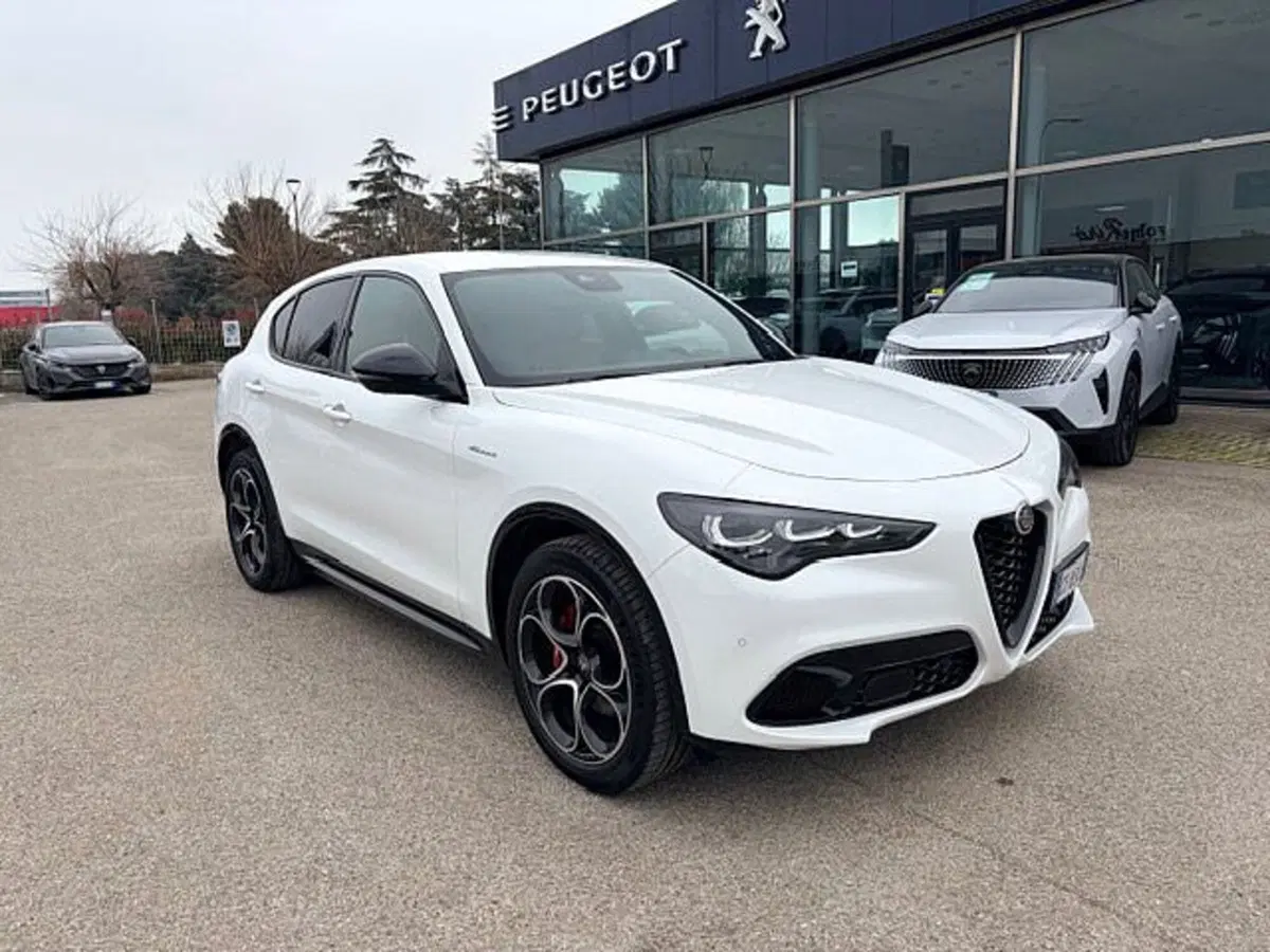 Alfa Romeo Stelvio usata a Ravenna (3)