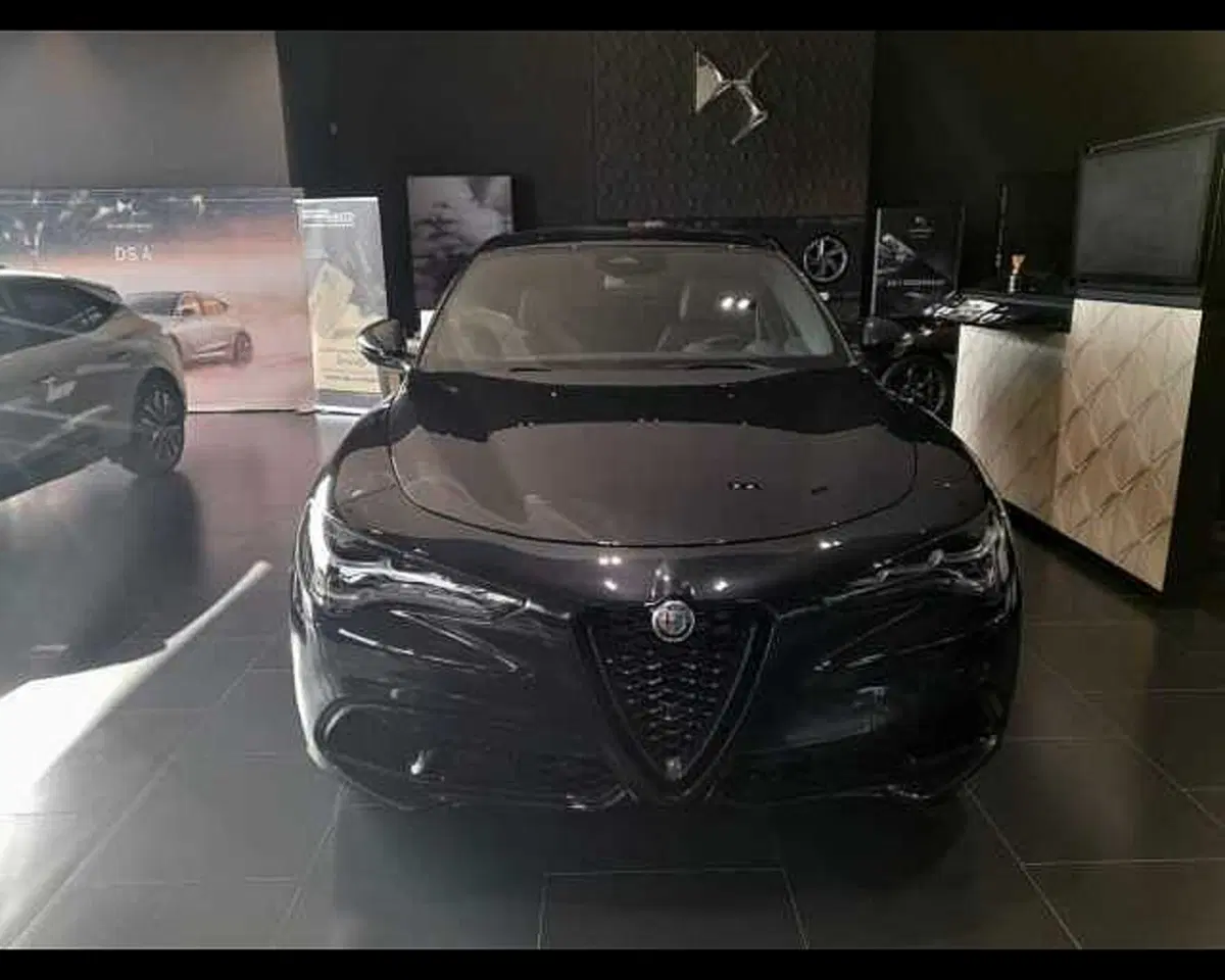 Alfa Romeo Stelvio usata a Alessandria (2)