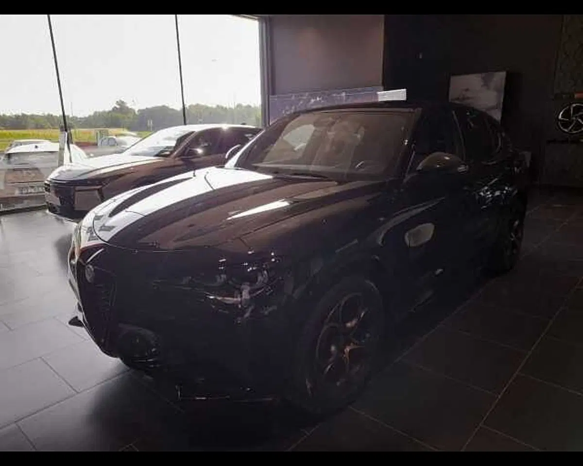 Alfa Romeo Stelvio usata a Alessandria (3)