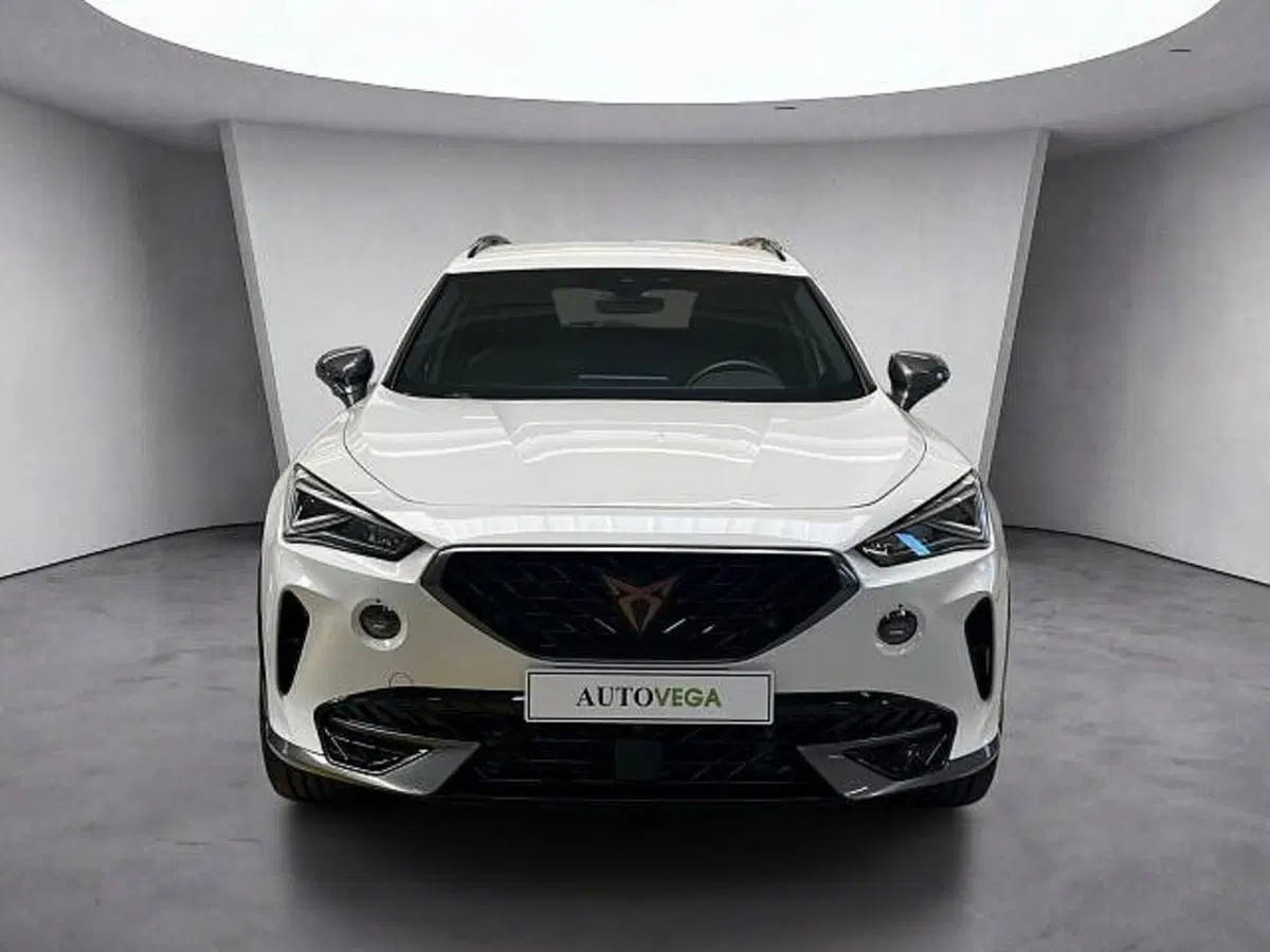 Cupra Formentor usata a Vicenza (2)