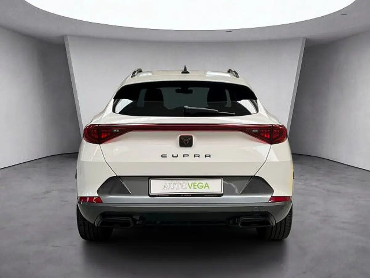 Cupra Formentor usata a Vicenza (5)