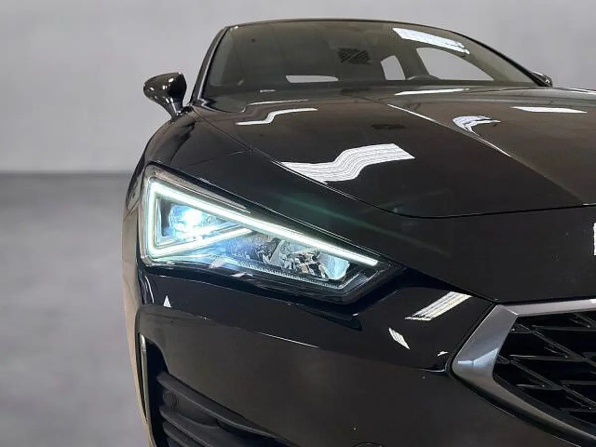 Cupra Leon usata a Vicenza (19)