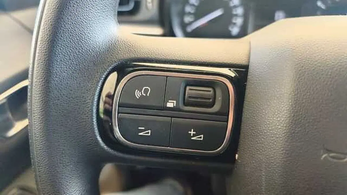 Citroen C3 usata a Firenze (16)