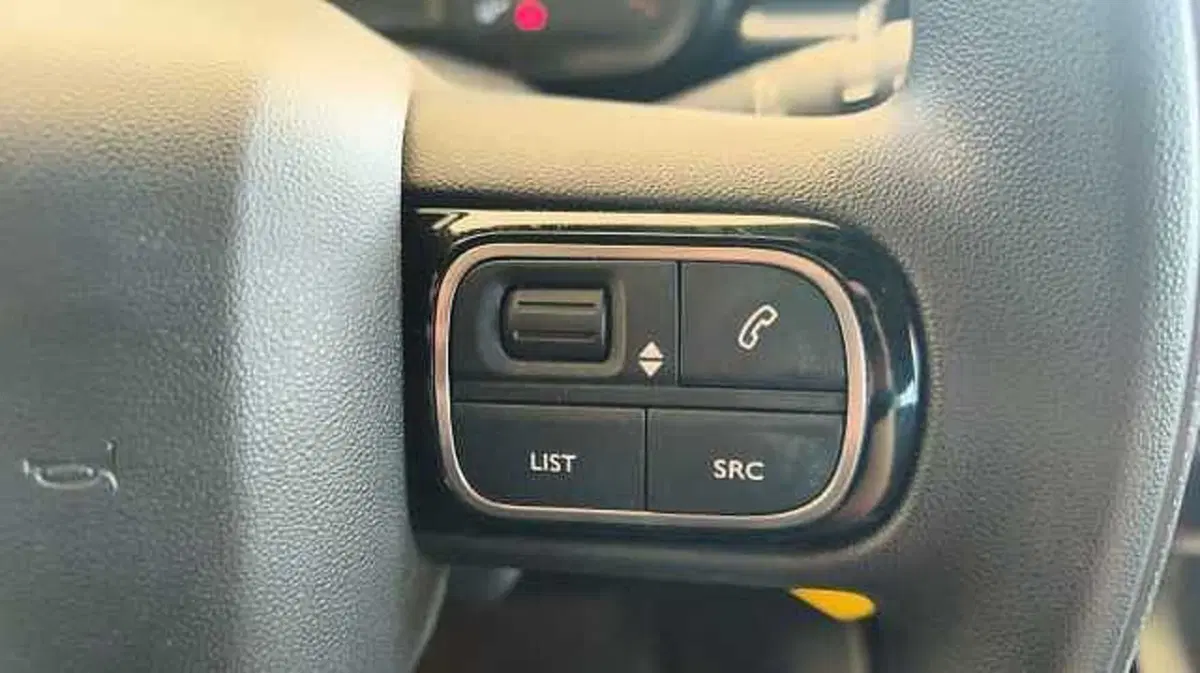 Citroen C3 usata a Firenze (17)