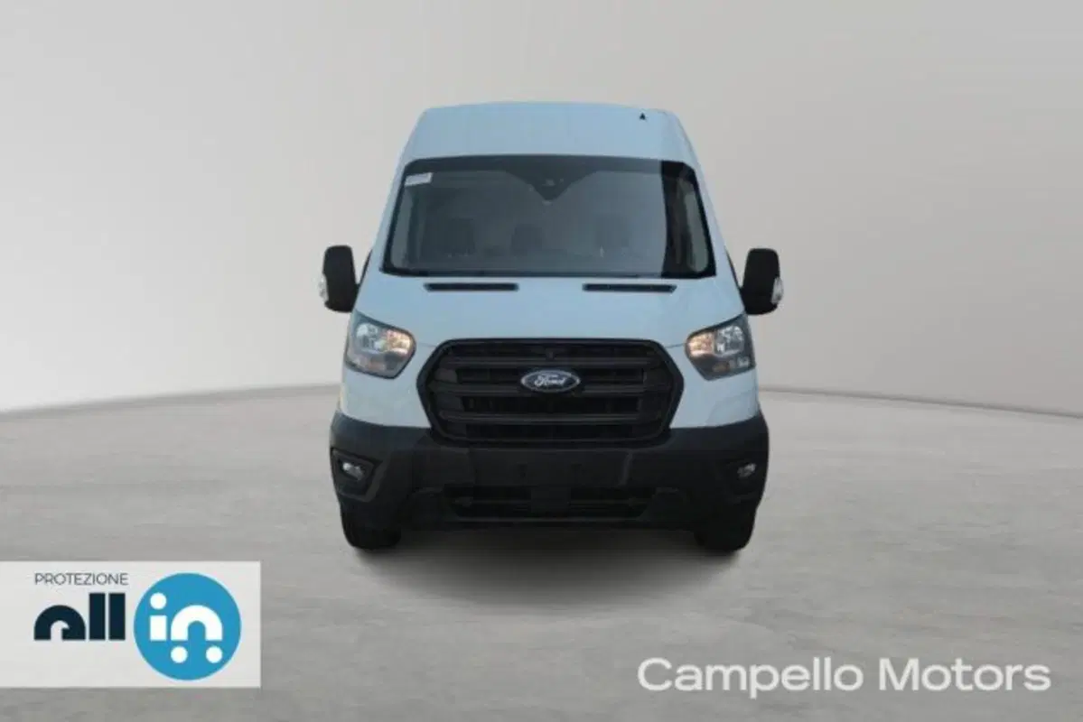 Ford Transit Furgone usata a Venezia (2)