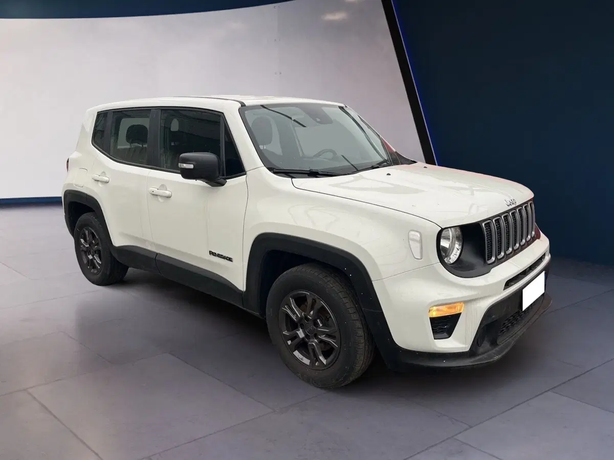 Jeep Renegade usata a Torino (2)