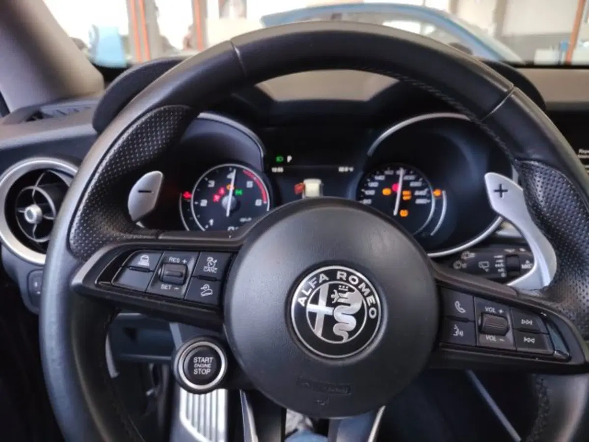Alfa Romeo Stelvio usata a Forlì-Cesena (14)