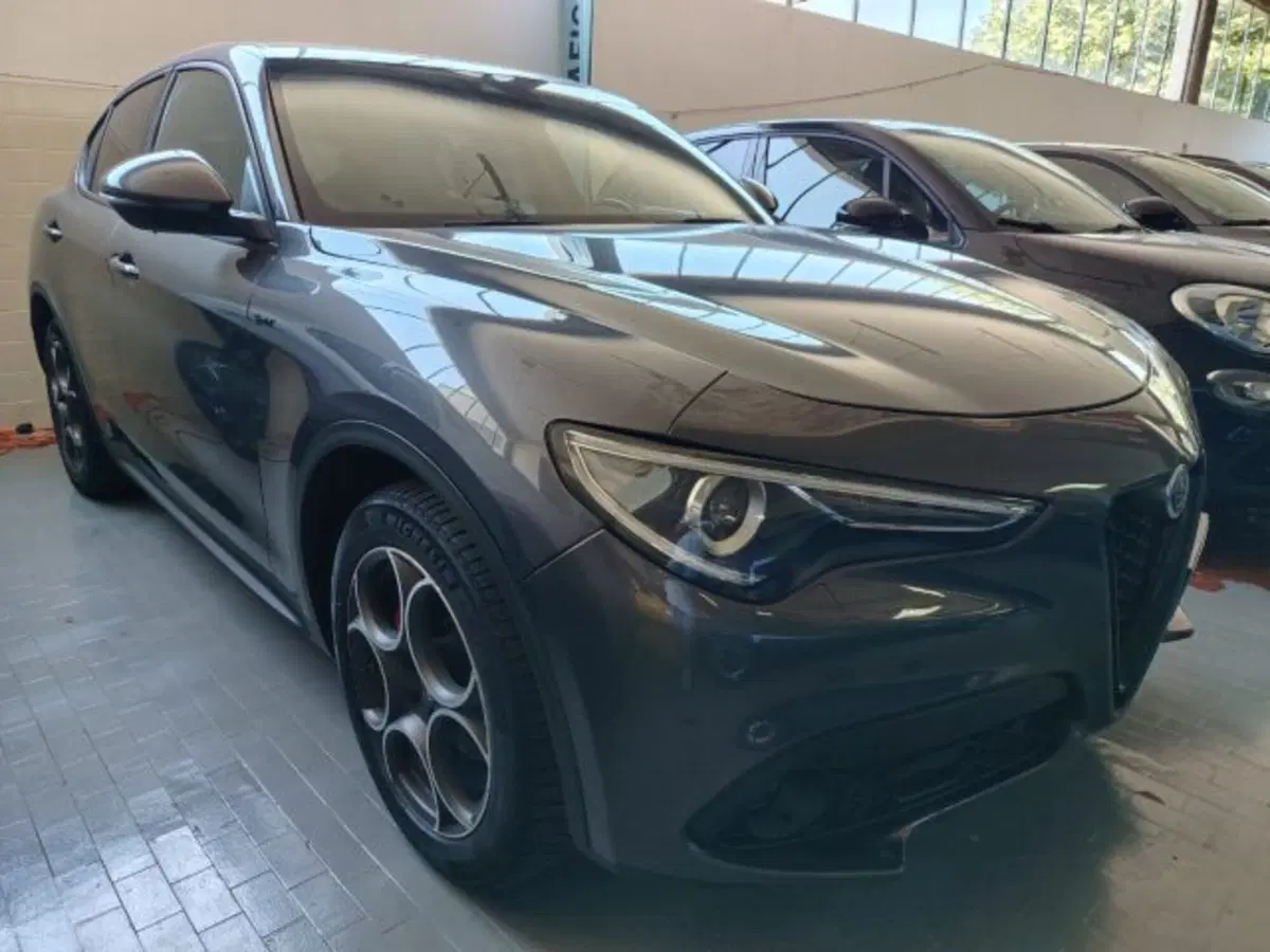 Alfa Romeo Stelvio usata a Forlì-Cesena (2)