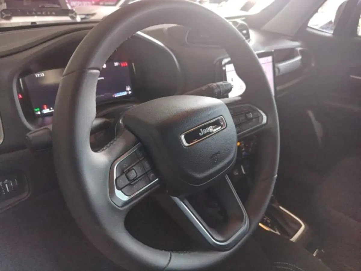 Jeep Renegade usata a Forlì-Cesena (20)