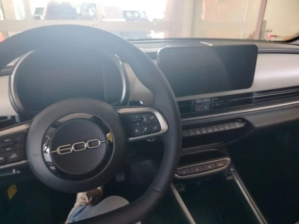 Fiat 600 nuova a Forlì-Cesena (18)