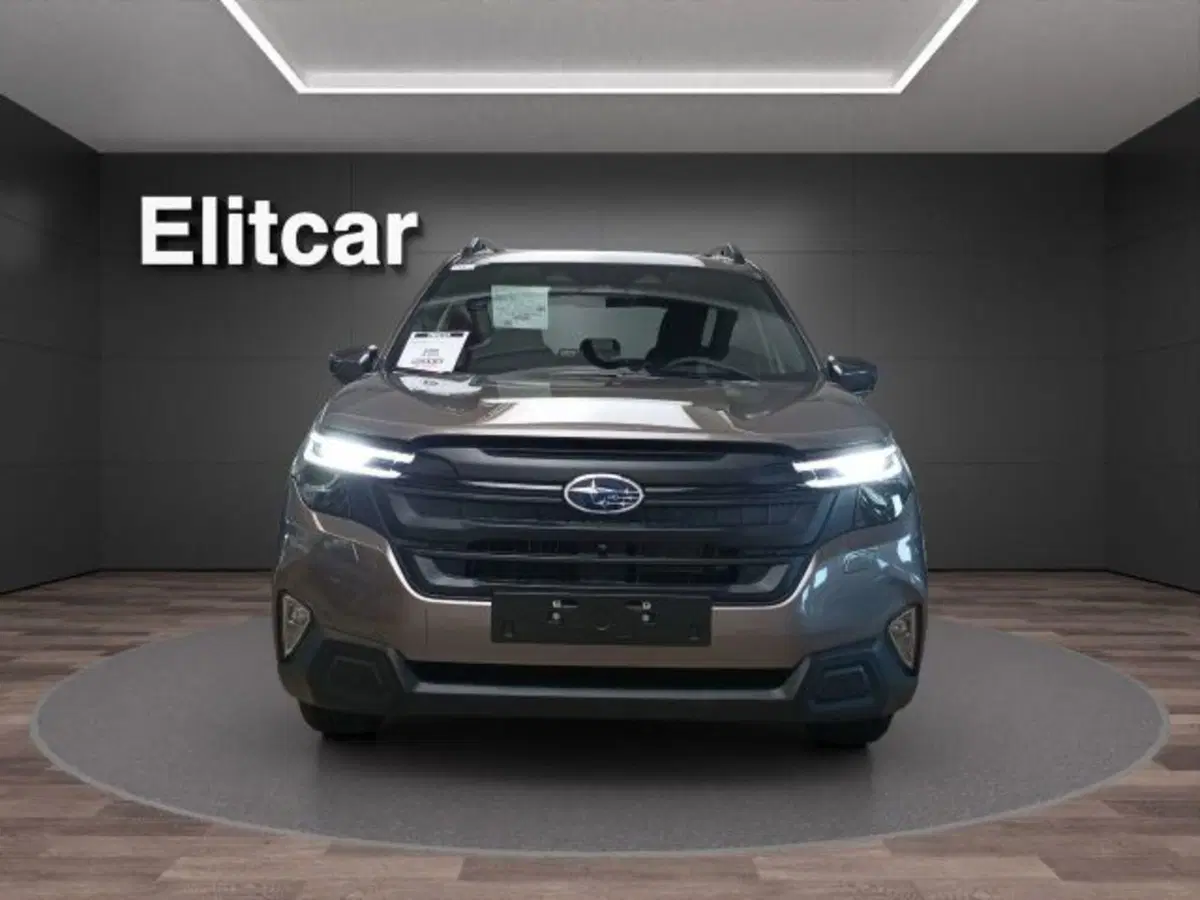 Subaru Forester nuova a Novara (2)