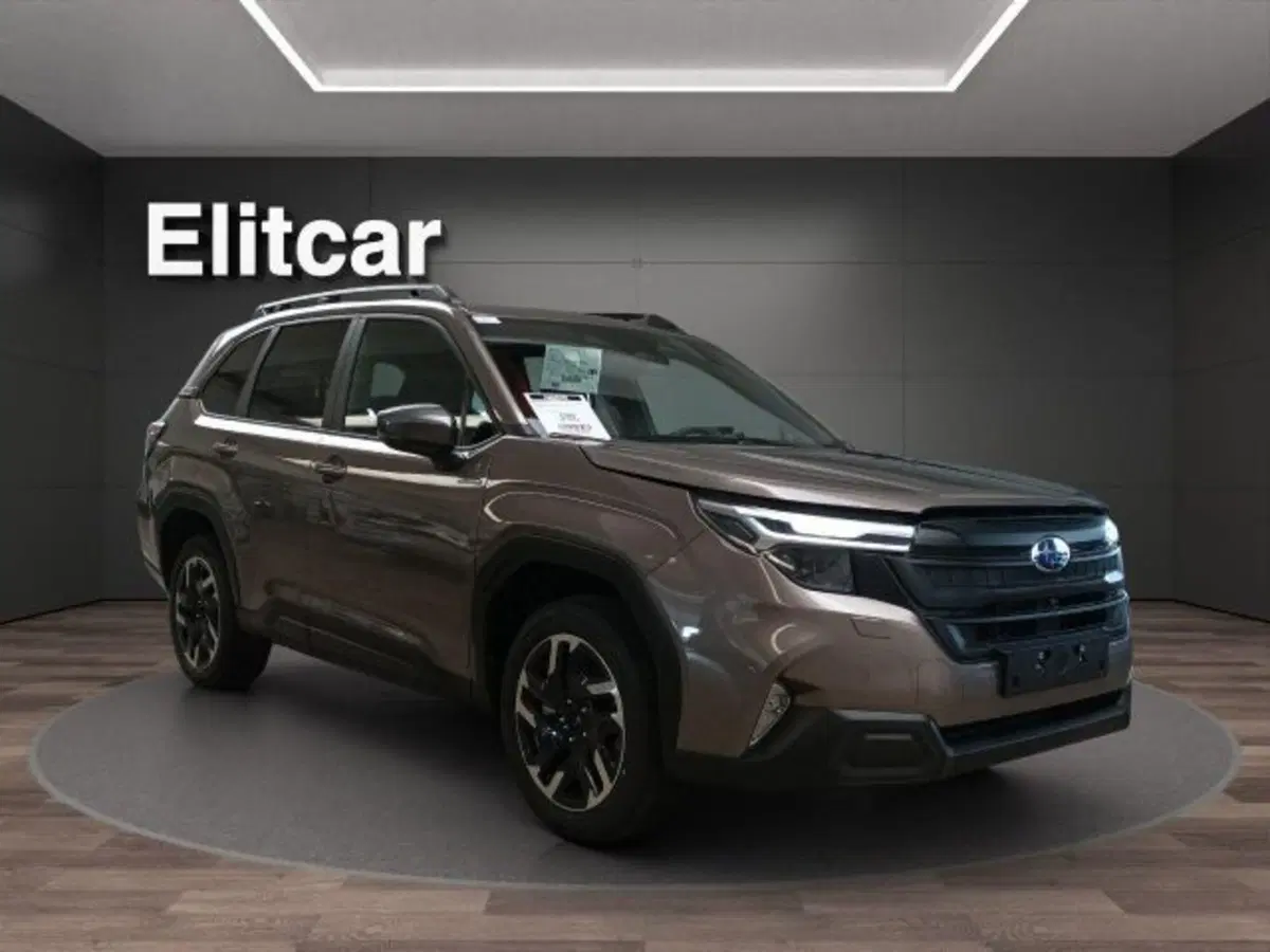 Subaru Forester nuova a Novara (3)