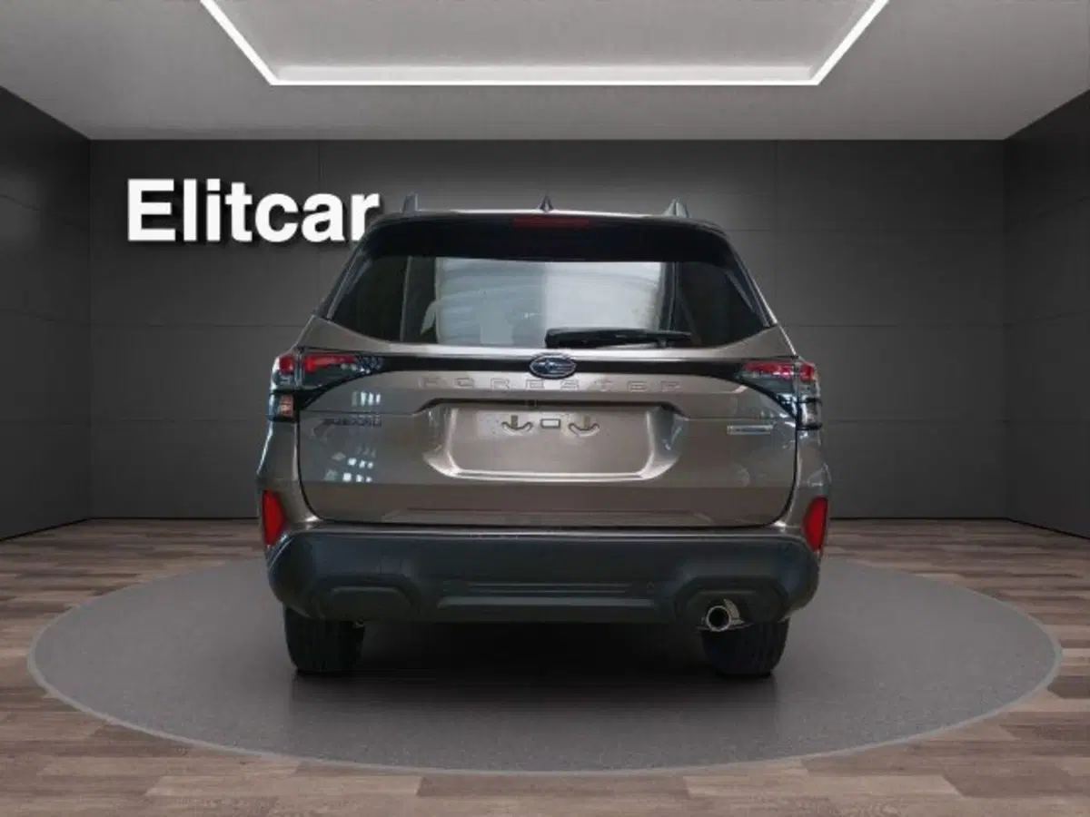 Subaru Forester nuova a Novara (4)