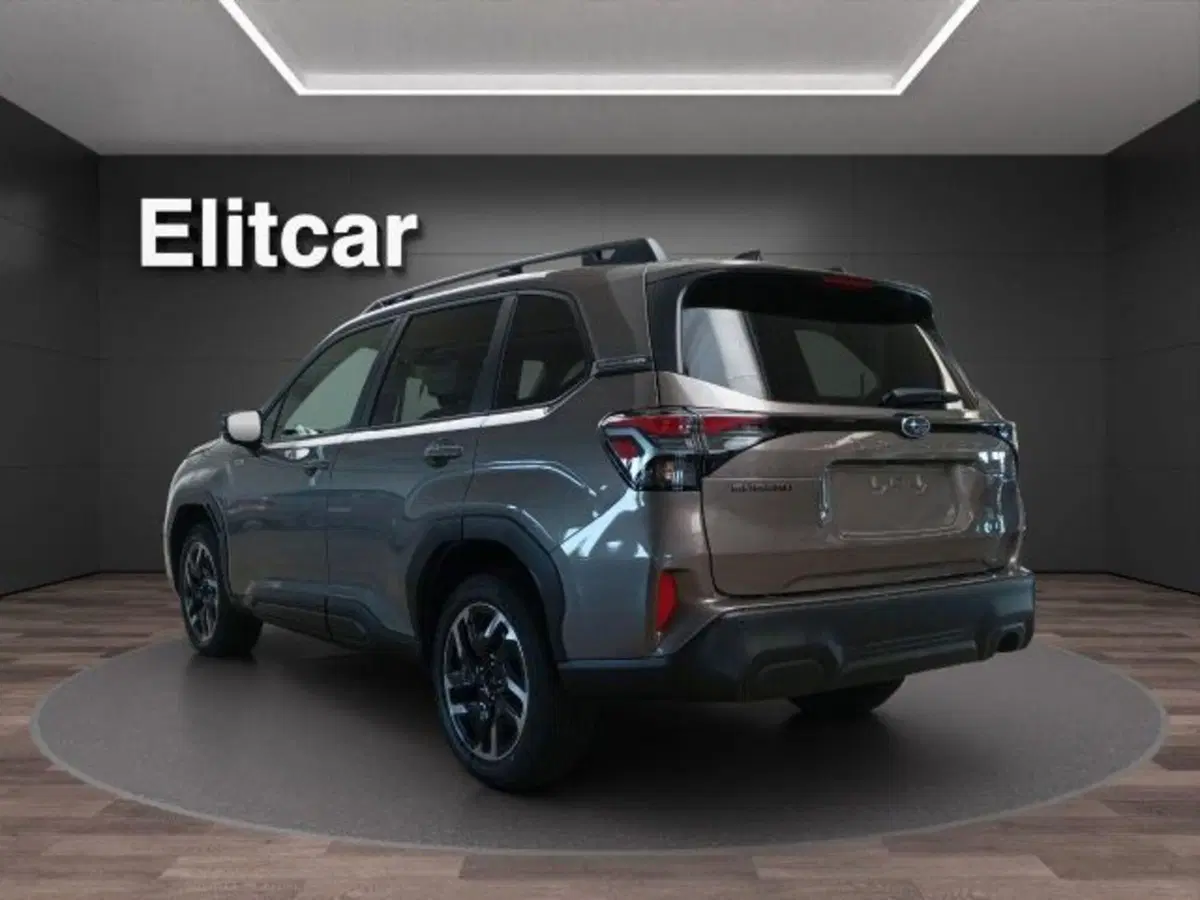 Subaru Forester nuova a Novara (5)