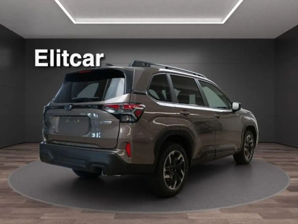 Subaru Forester nuova a Novara (6)