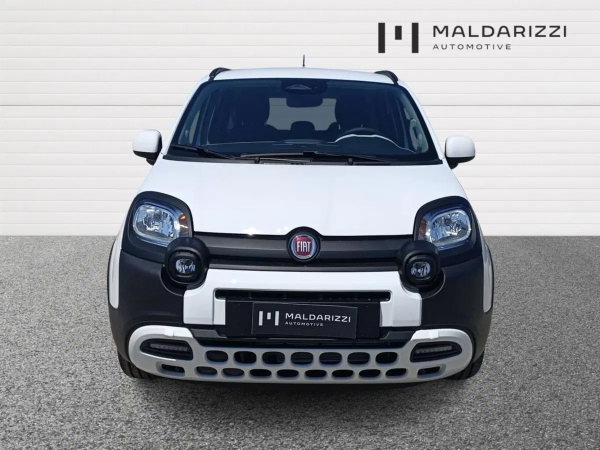 Fiat Pandina nuova a Bari (2)