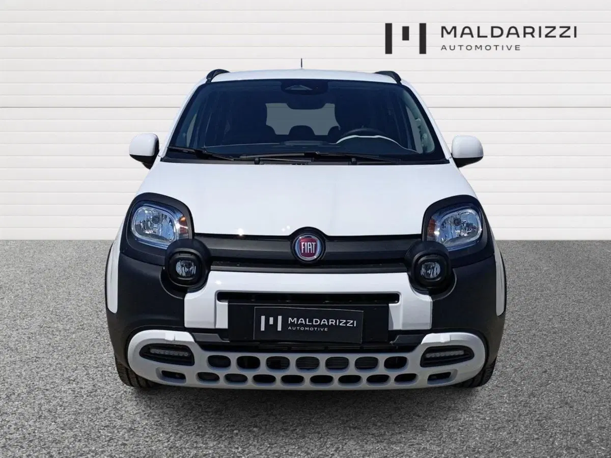 Fiat Pandina nuova a Bari (2)