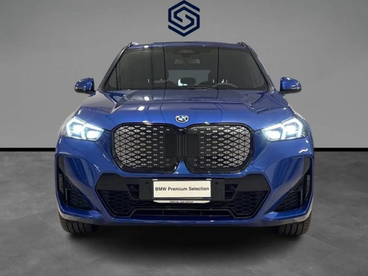 BMW X1 usata a Cagliari (7)