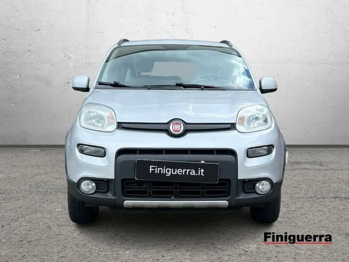Fiat Panda usata a Sondrio (2)