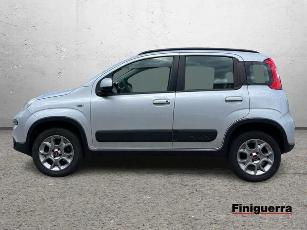 Fiat Panda usata a Sondrio (6)