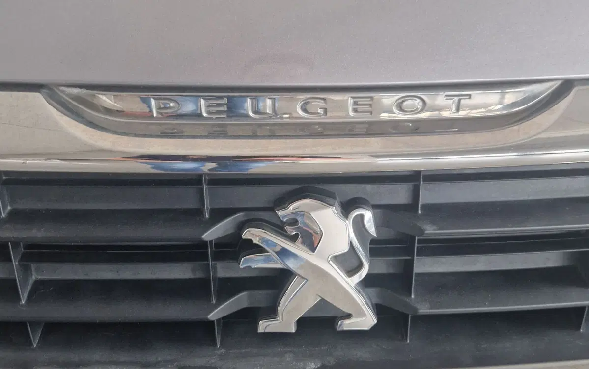 Peugeot Partner usata a Terni (19)