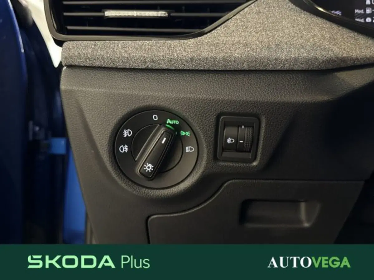 Skoda Kamiq usata a Vicenza (16)