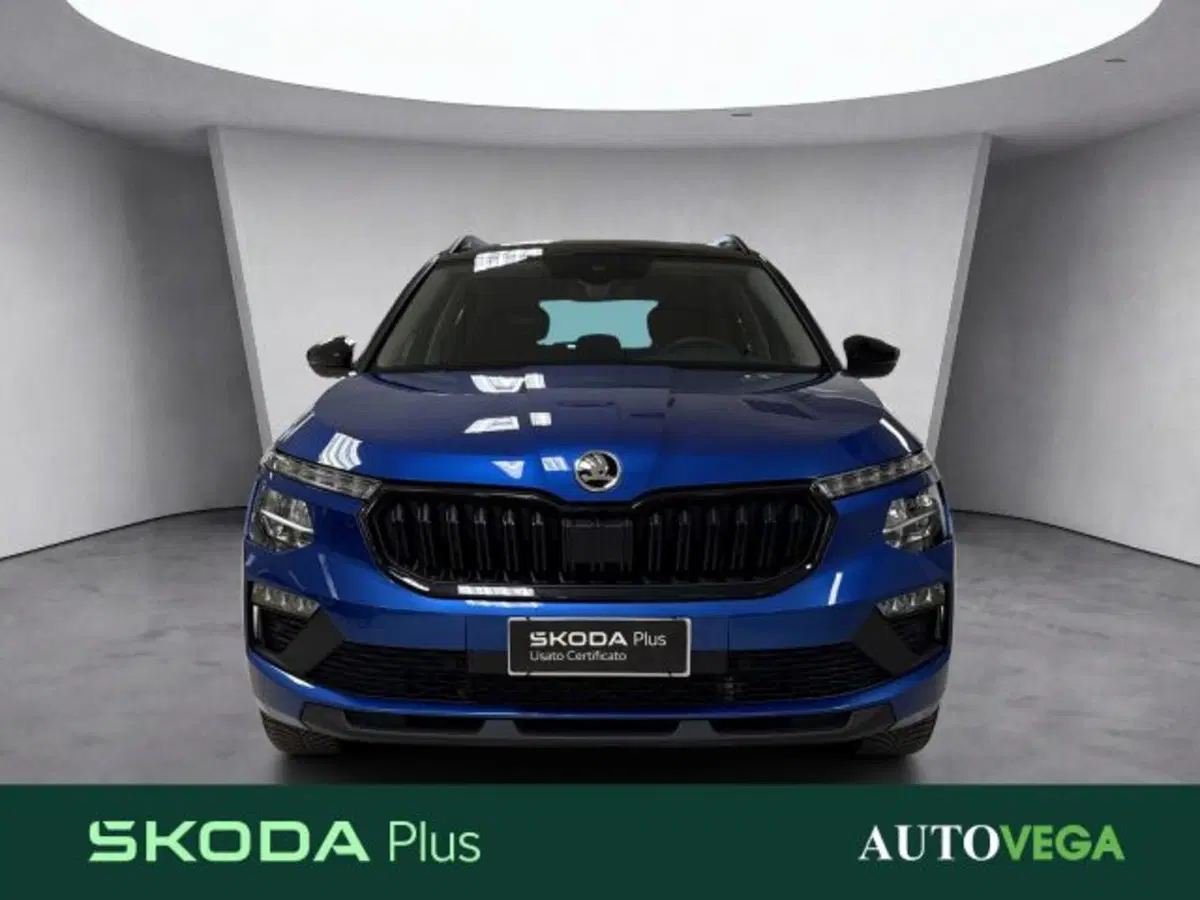 Skoda Kamiq usata a Vicenza (2)
