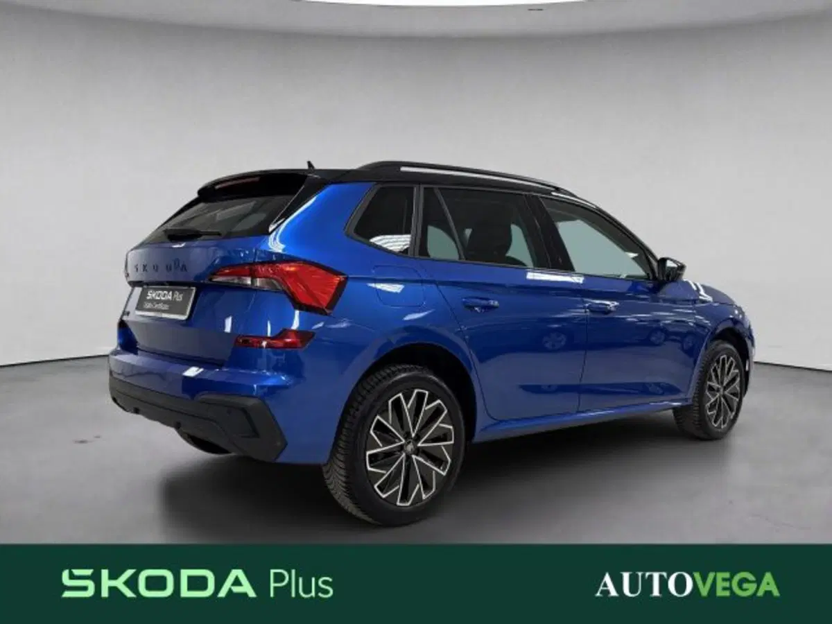 Skoda Kamiq usata a Vicenza (4)