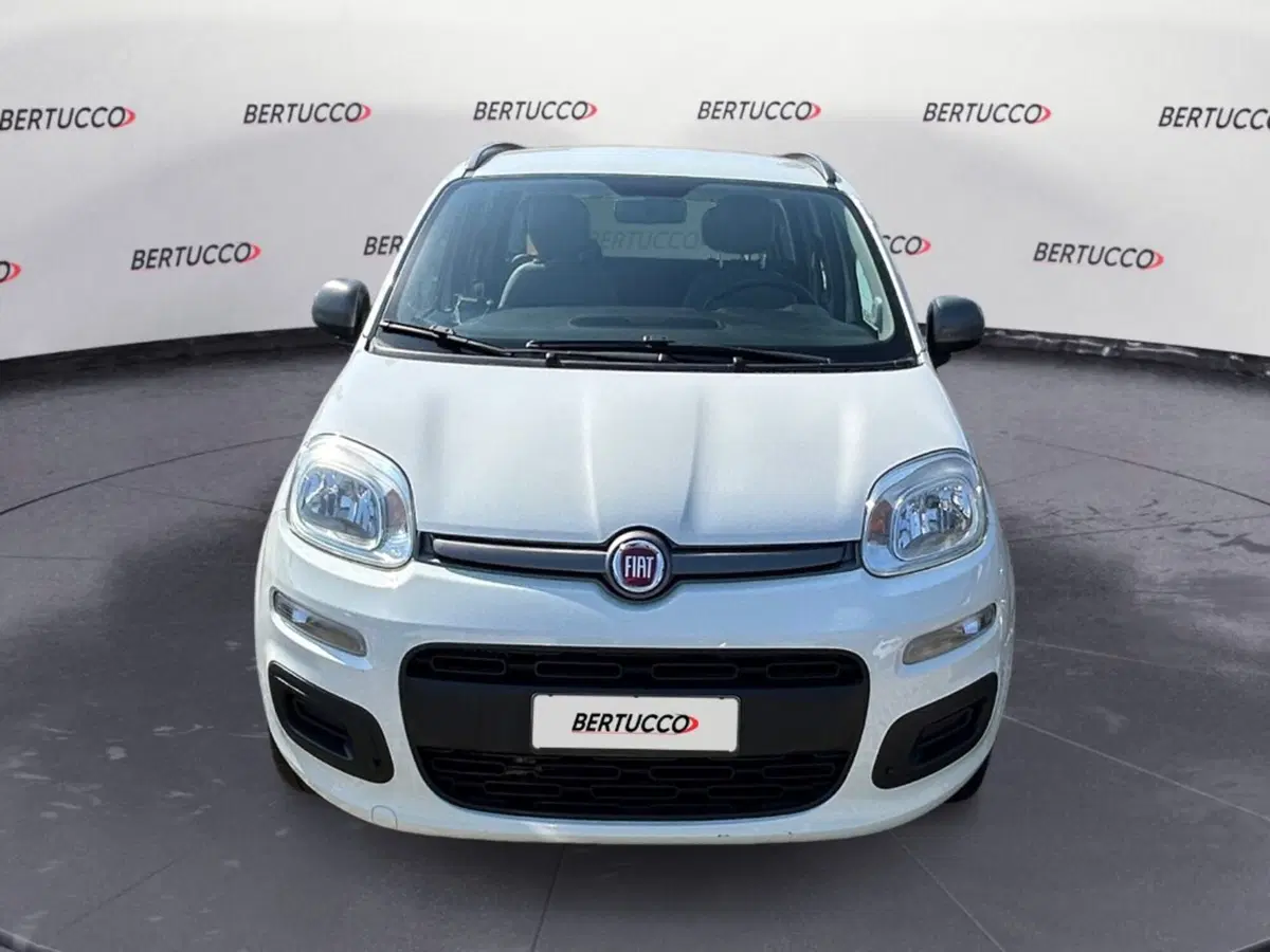 Fiat Panda usata a Verona (2)