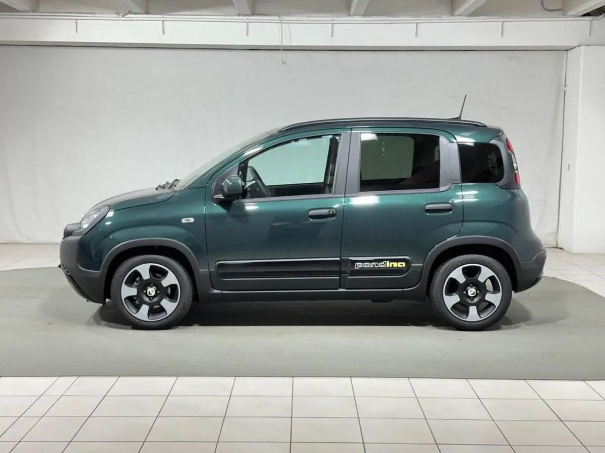 Fiat Pandina nuova a Sondrio (2)