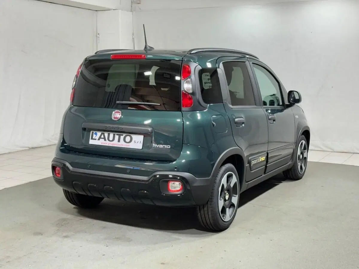 Fiat Pandina nuova a Sondrio (5)