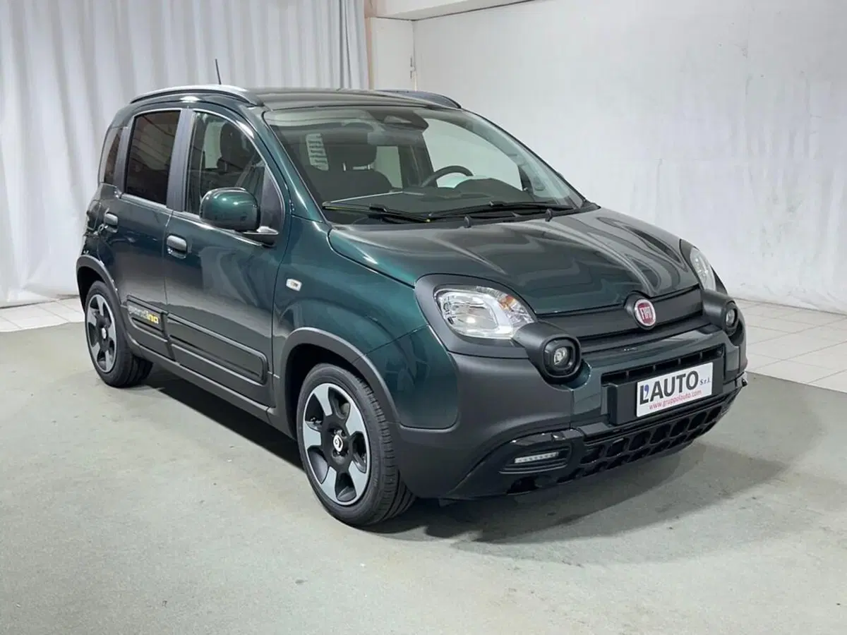 Fiat Pandina nuova a Sondrio (7)