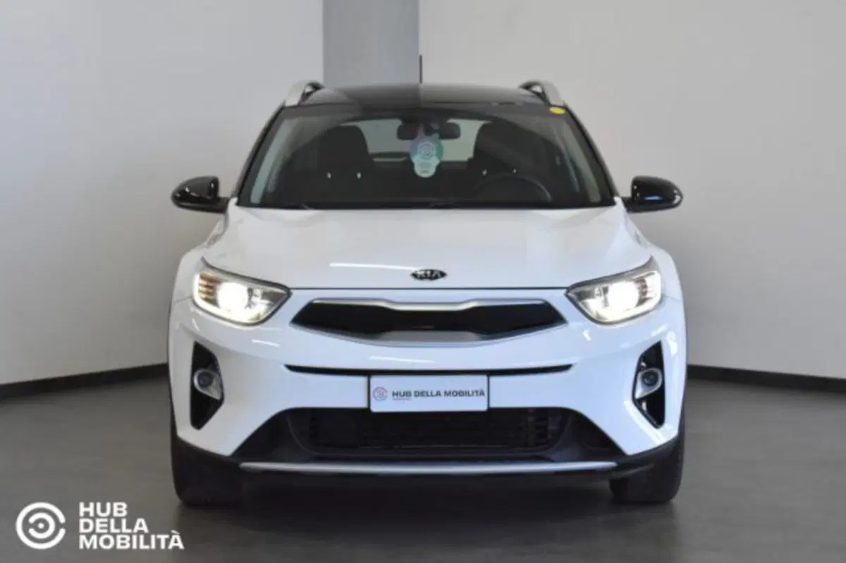 Kia Stonic usata a Perugia