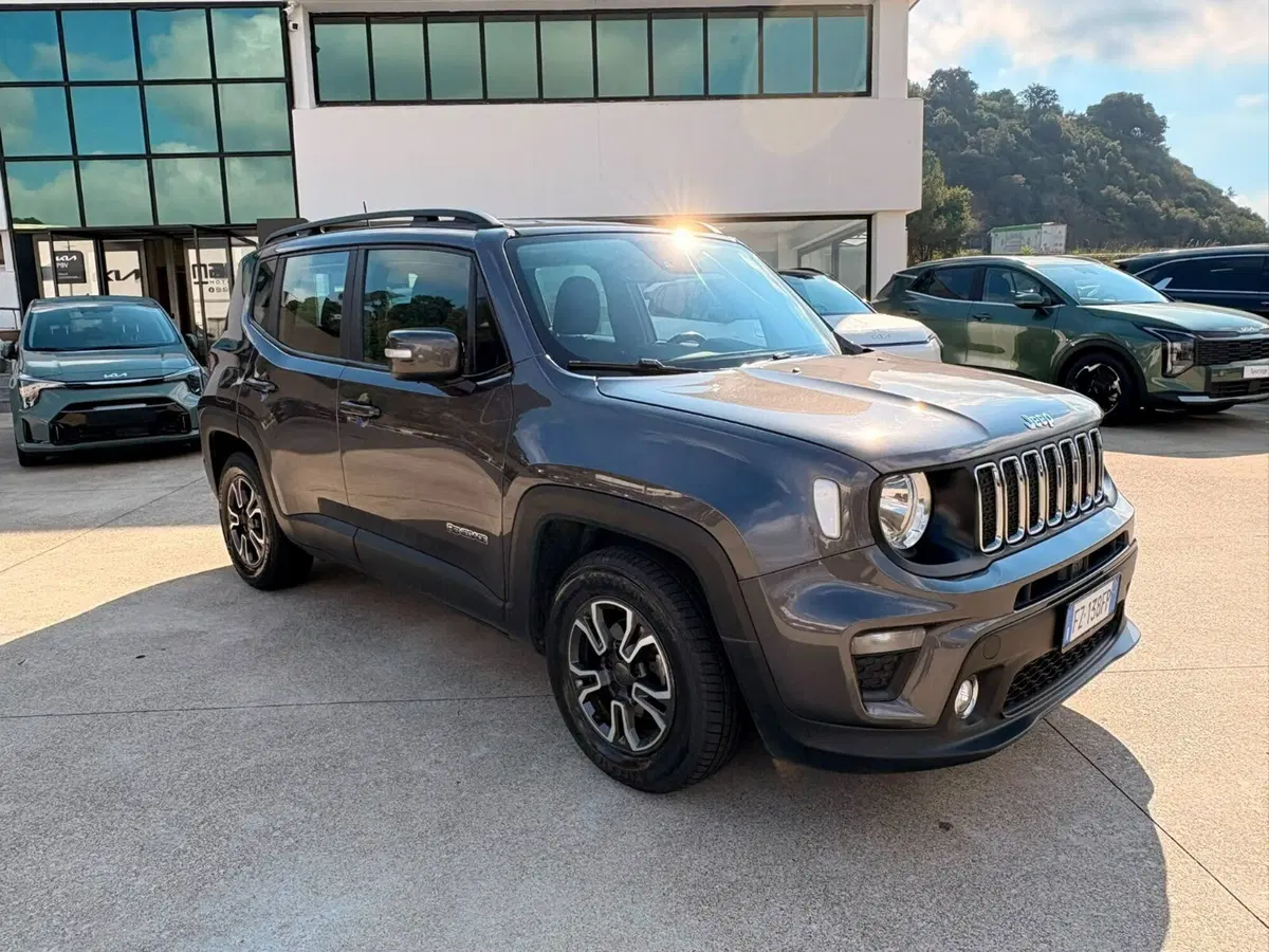 Jeep Renegade usata a Cosenza (3)