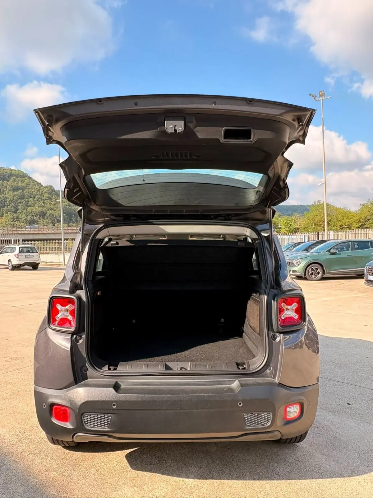 Jeep Renegade usata a Cosenza (7)