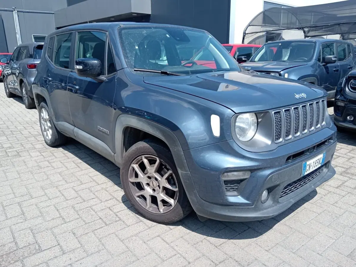 Jeep Renegade usata a Alessandria (2)