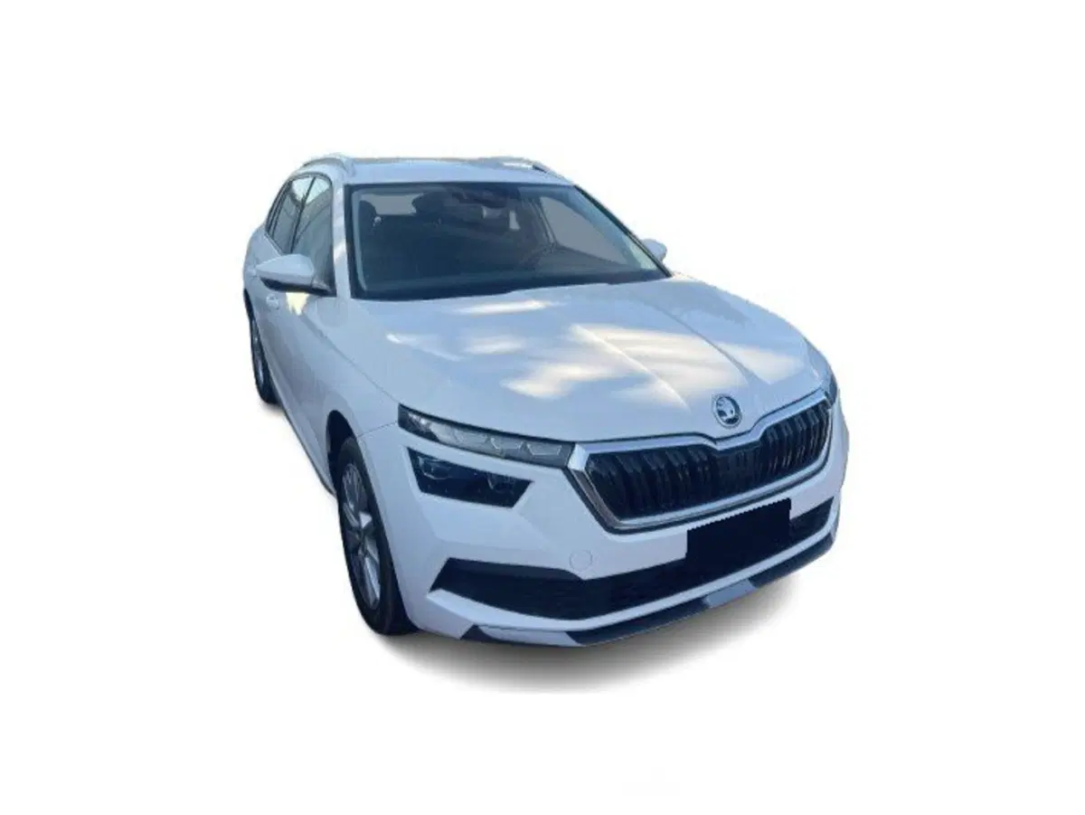 Skoda Kamiq usata a Bari (2)