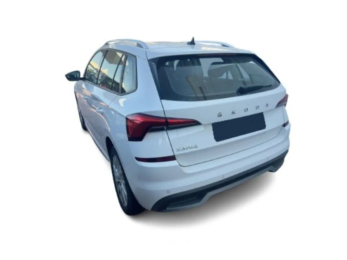 Skoda Kamiq usata a Bari (9)