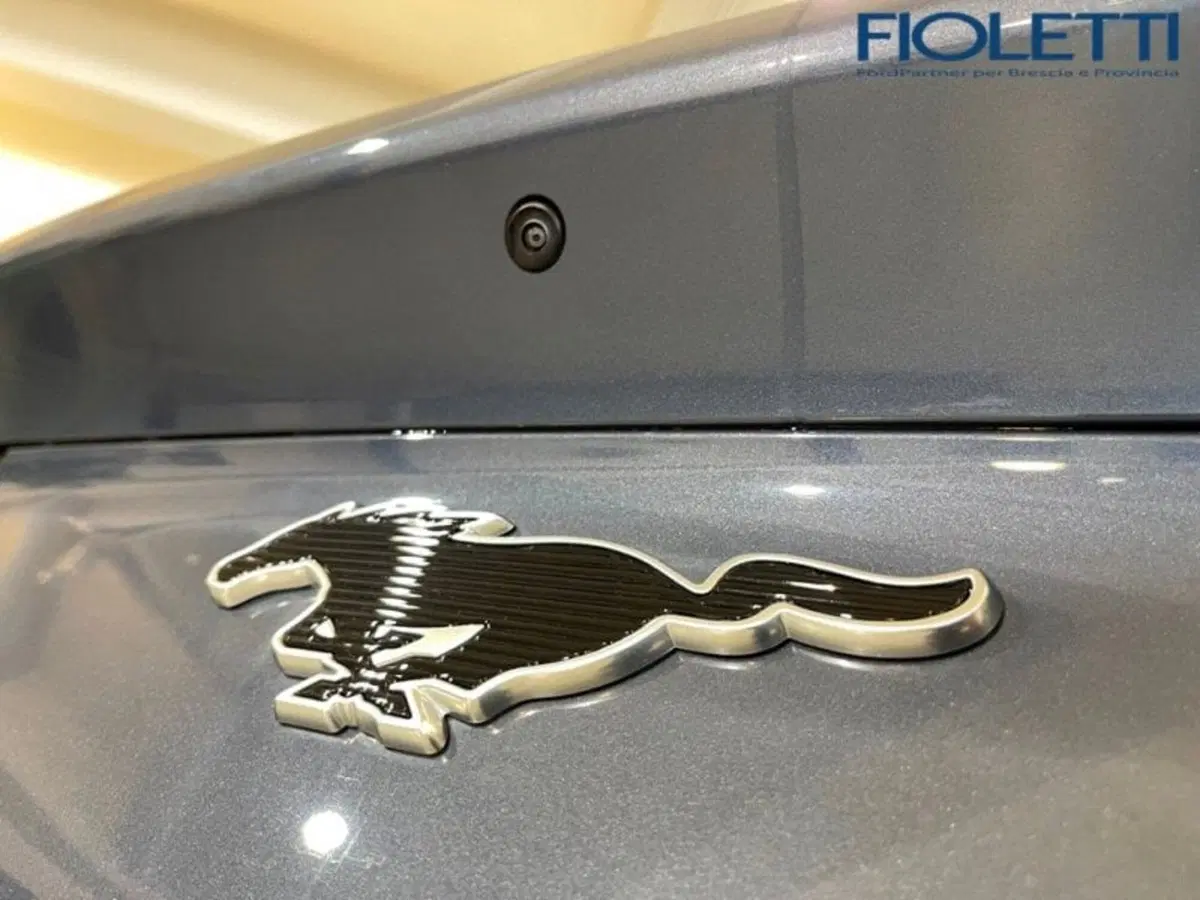 Ford Mustang Mach-E usata a Brescia (13)
