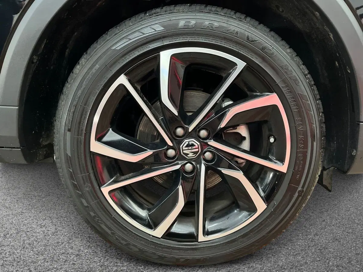Mg ZS usata a Matera (6)