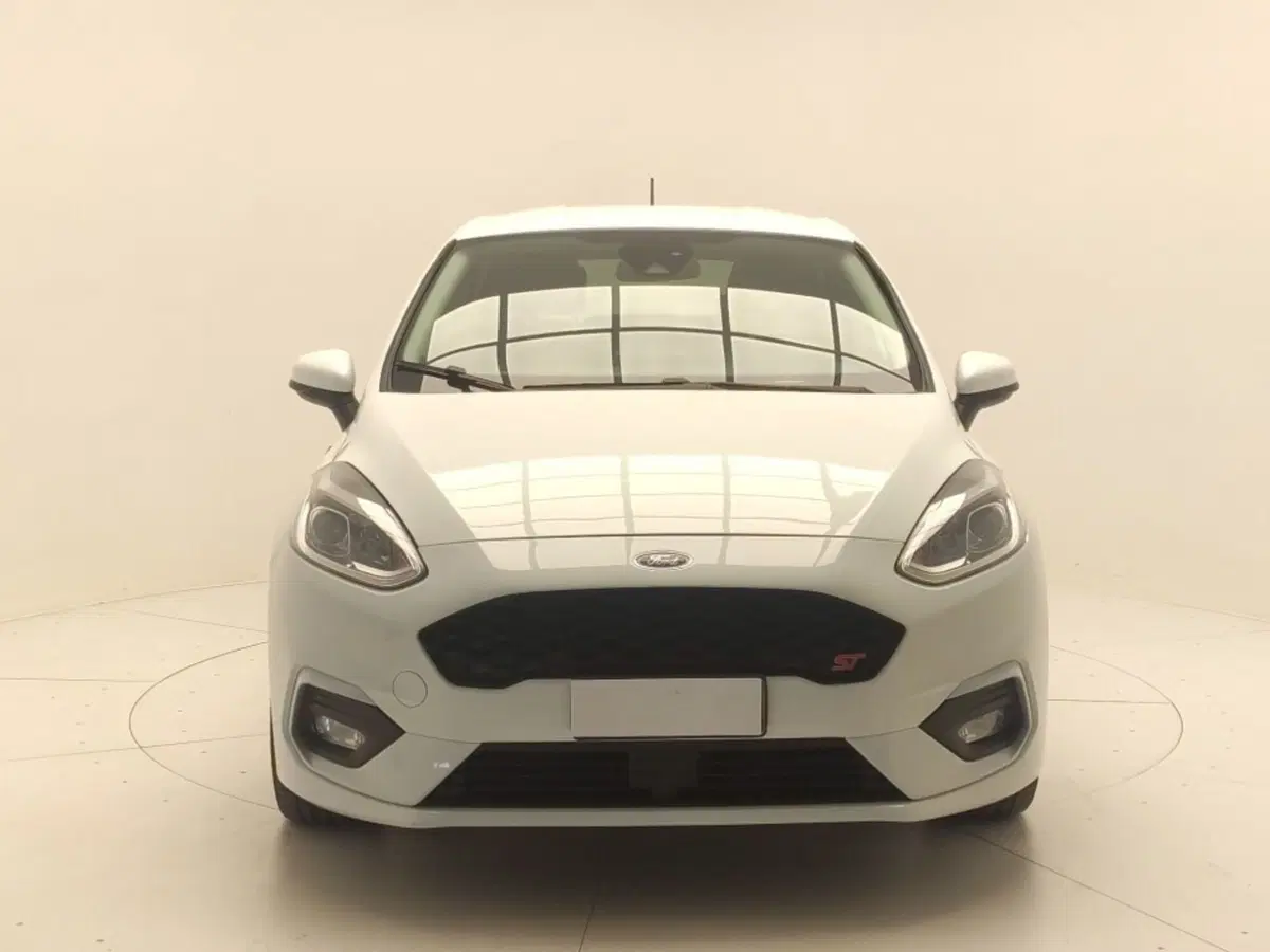 Ford Fiesta usata a Avellino (2)