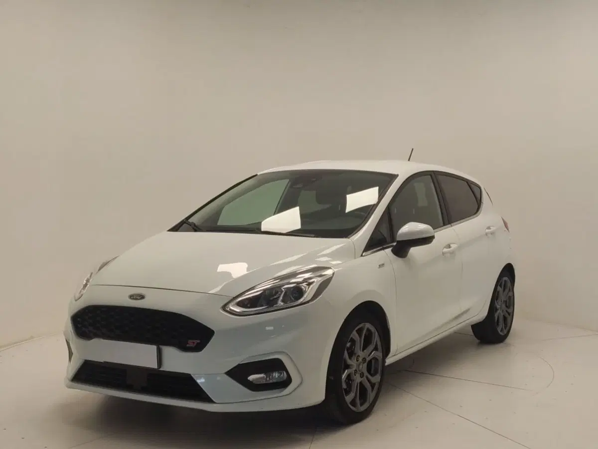 Ford Fiesta usata a Avellino (3)