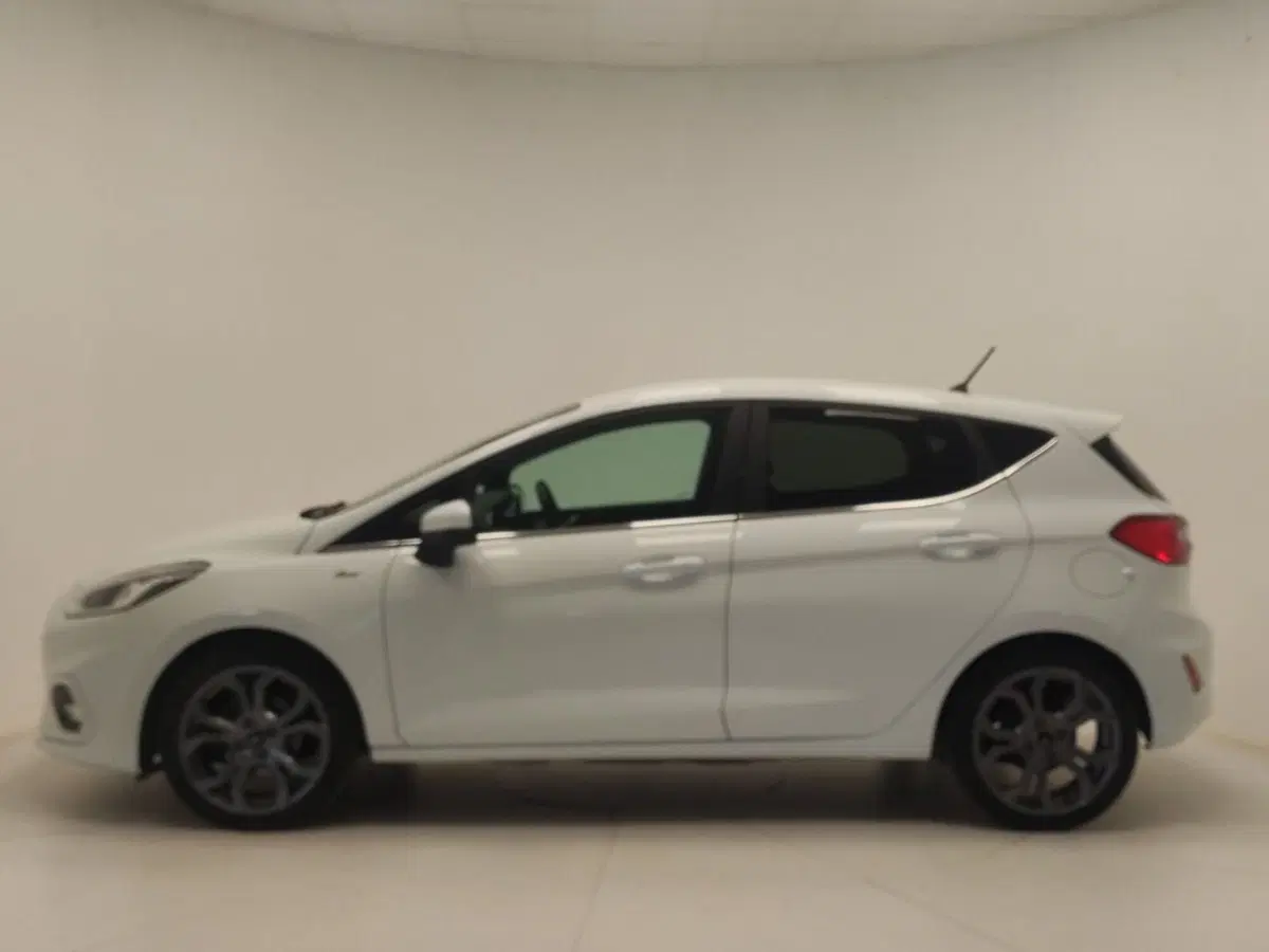 Ford Fiesta usata a Avellino (4)