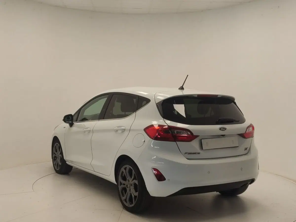 Ford Fiesta usata a Avellino (5)